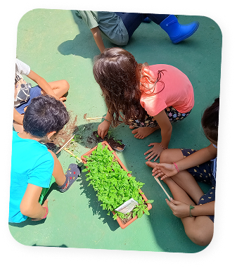 Crianças em atividade ao ar livre